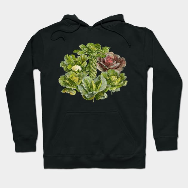 Brassicas! Hoodie by MichaelaGrove